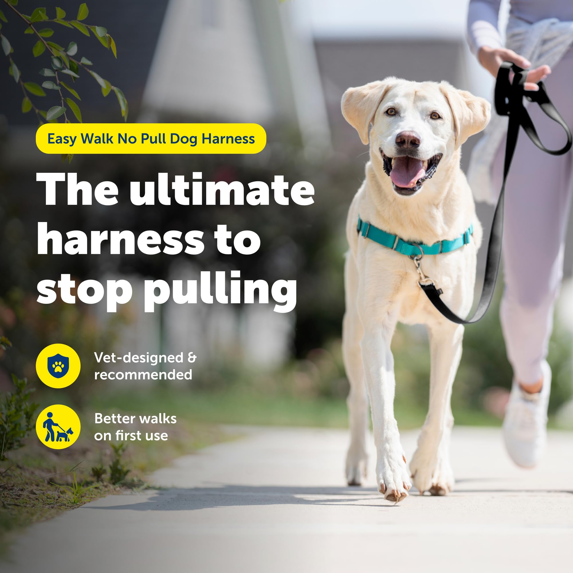 PetSafe Easy Walk front-martingale-loop design showing gradual pressure guidance.