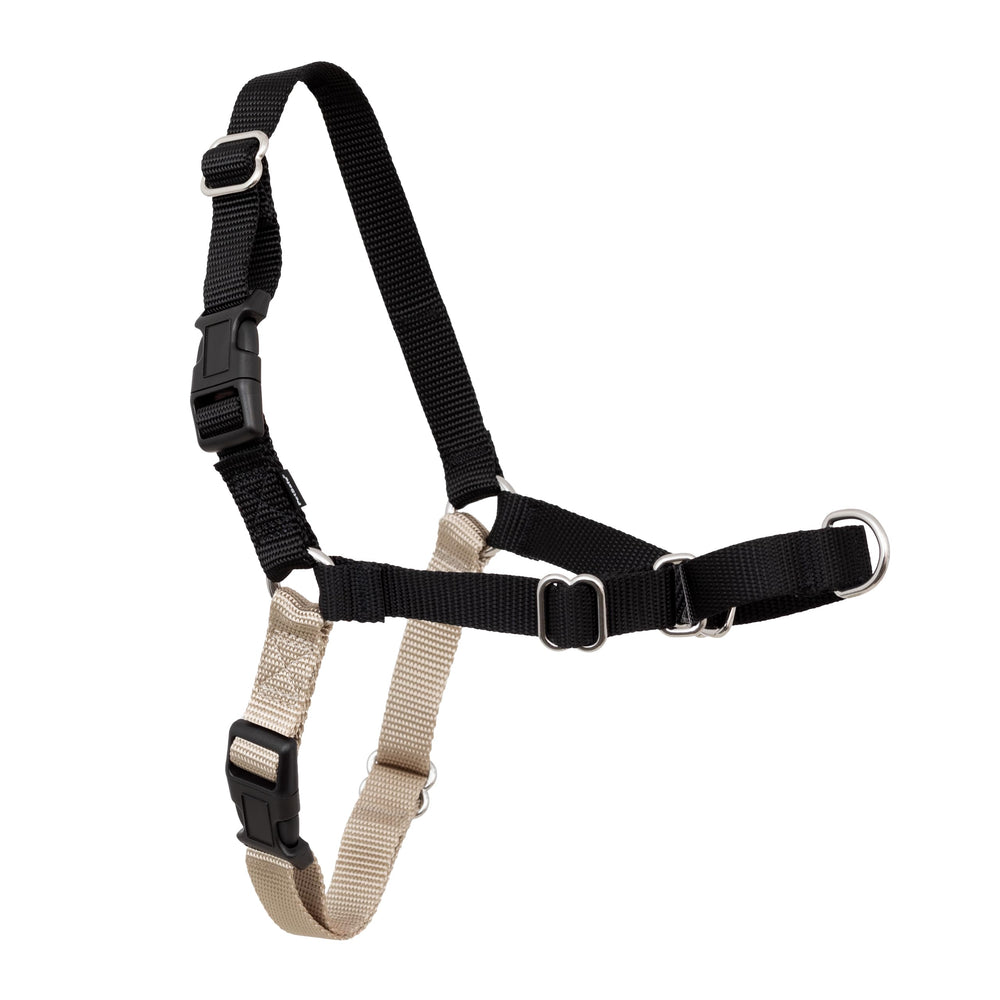 PetSafe Easy Walk harness front view in black, lightweight and breathable for daily walks.