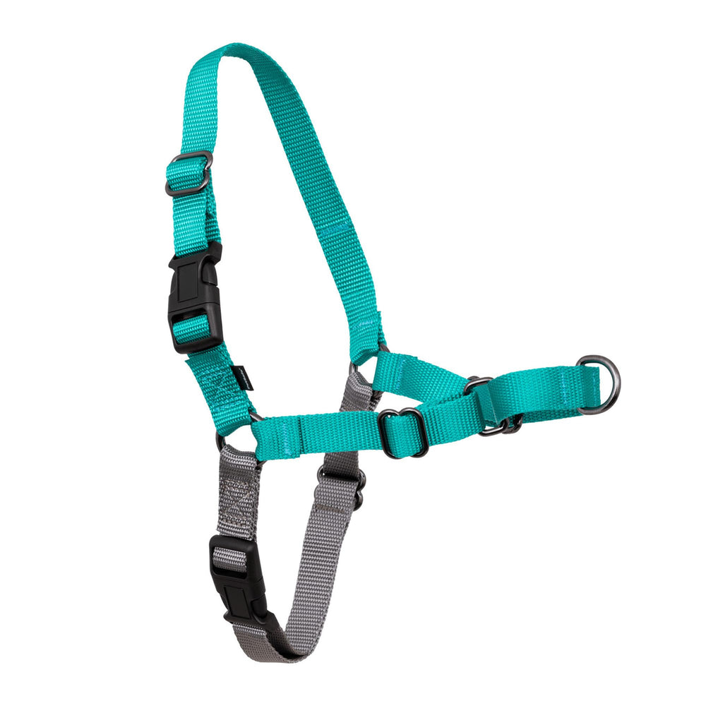 PetSafe Easy Walk front-view teal large harness for comfortable no-pull control.