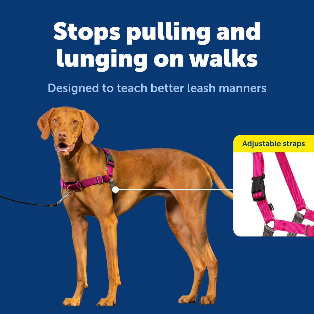 Lightweight breathable PetSafe Easy Walk harness for comfort