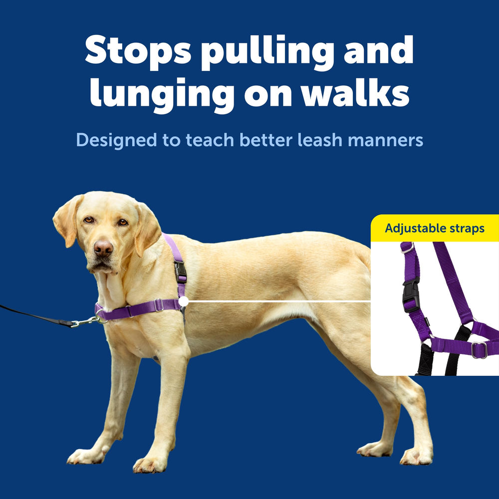PetSafe Easy Walk lightweight breathable fit keeps dogs cool