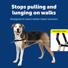 PetSafe Easy Walk harness is lightweight and breathable for daily wear