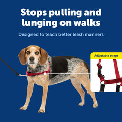 PetSafe Easy Walk lightweight-fit for everyday comfort