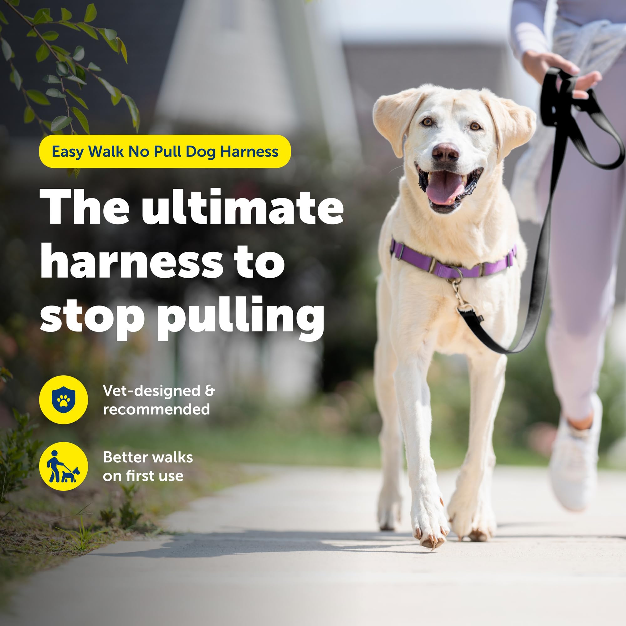 PetSafe Easy Walk martingale loop redirects pull with front leash guidance