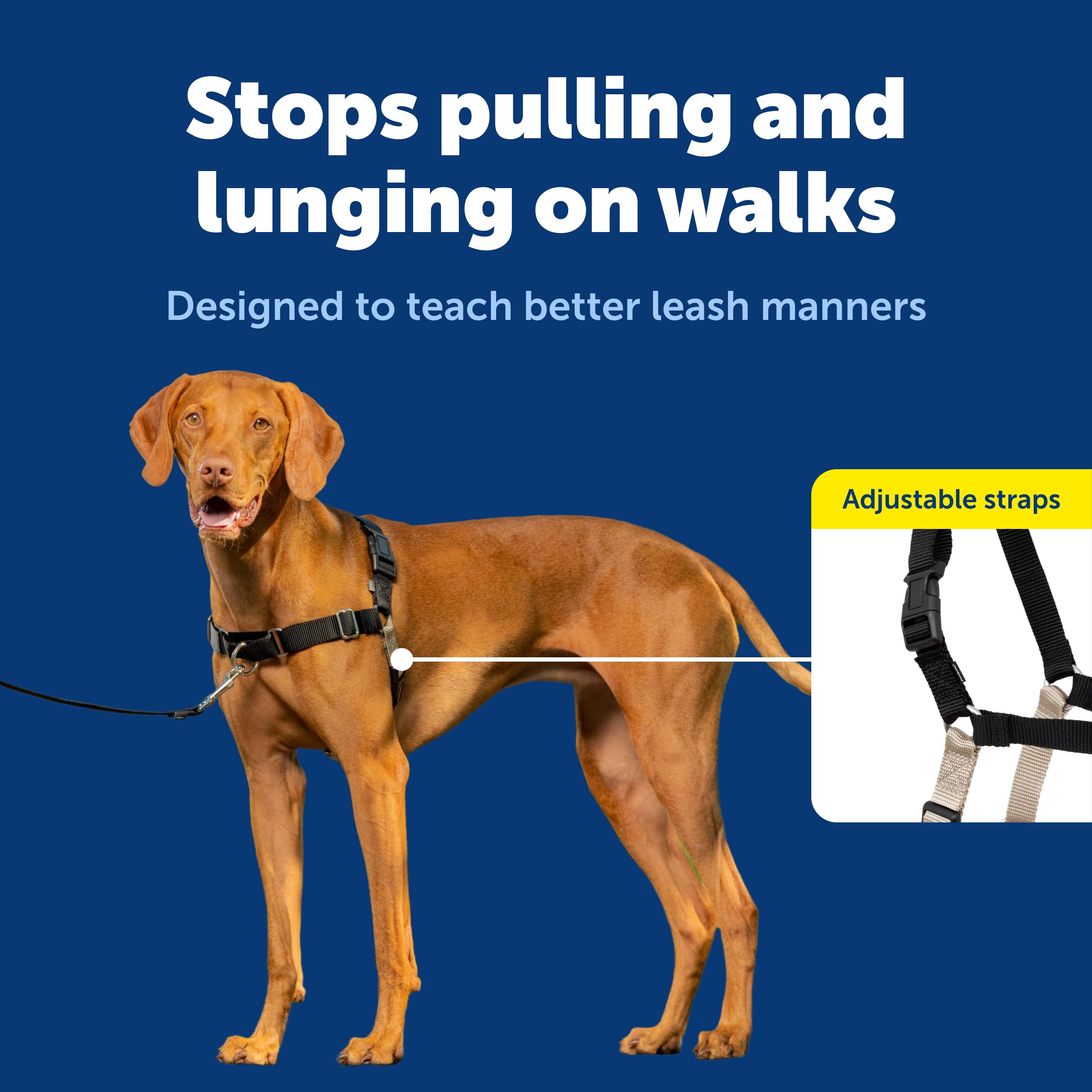 PetSafe Easy Walk martingale loop detail demonstrates gradual redirect during walks