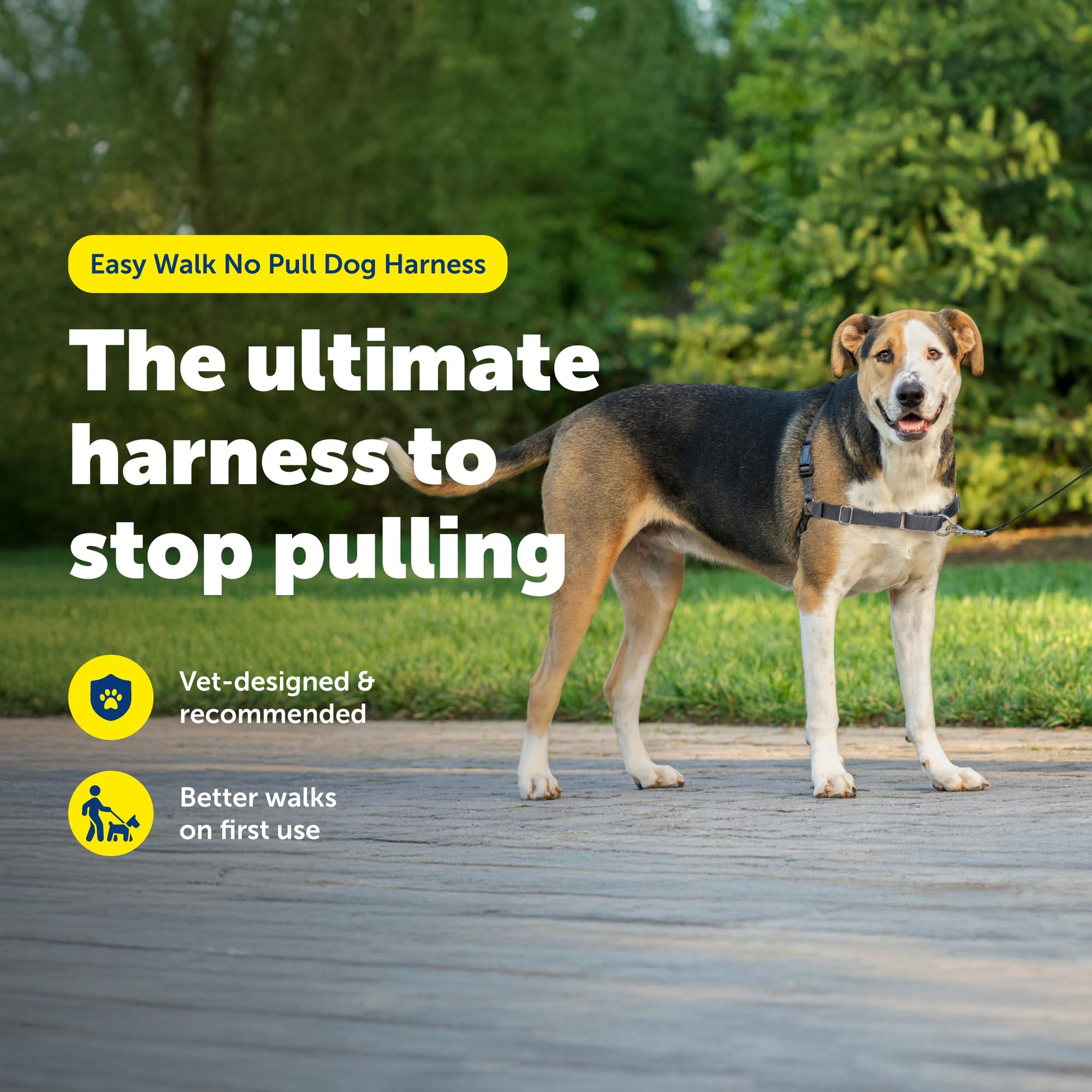 PetSafe Easy Walk harness martingale loop redirects pulling gently