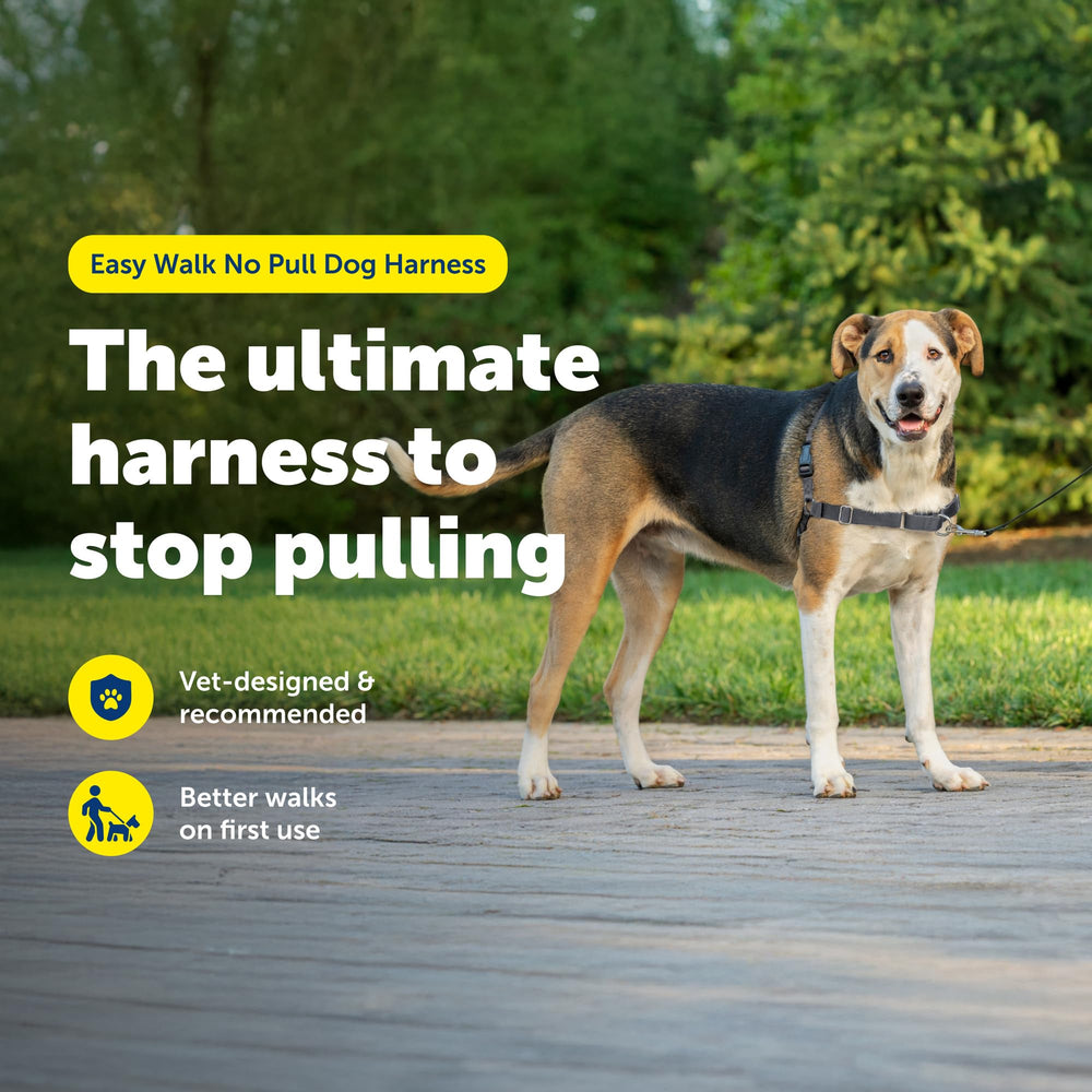 PetSafe Easy Walk harness martingale loop redirects pulling gently