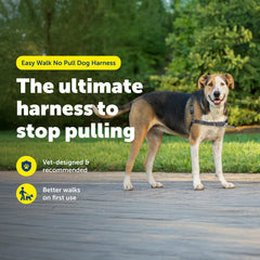 PetSafe Easy Walk harness martingale loop redirects pulling gently