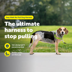 PetSafe Easy Walk martingale loop close-up demonstrates front chest redirection
