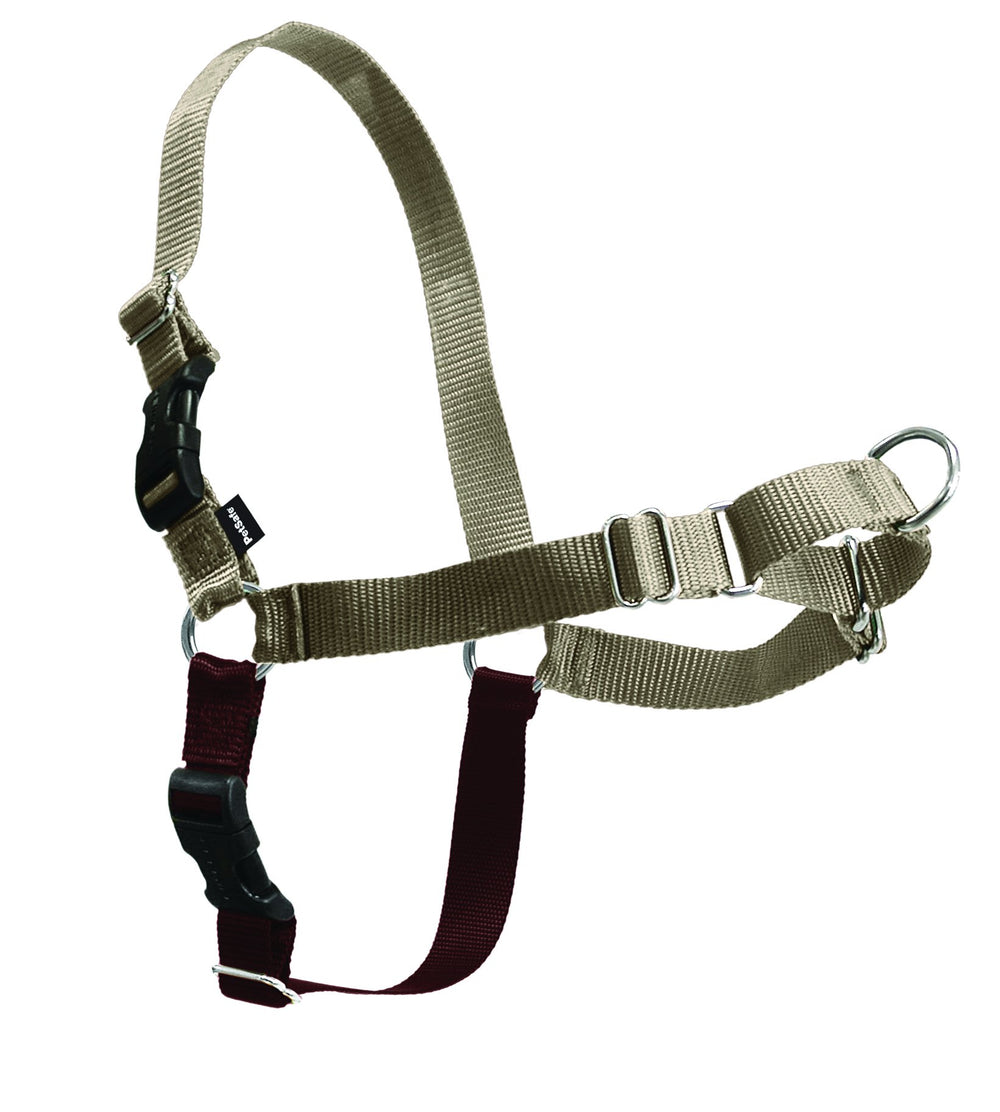 PetSafe Easy Walk martingale loop for gradual shoulder pressure