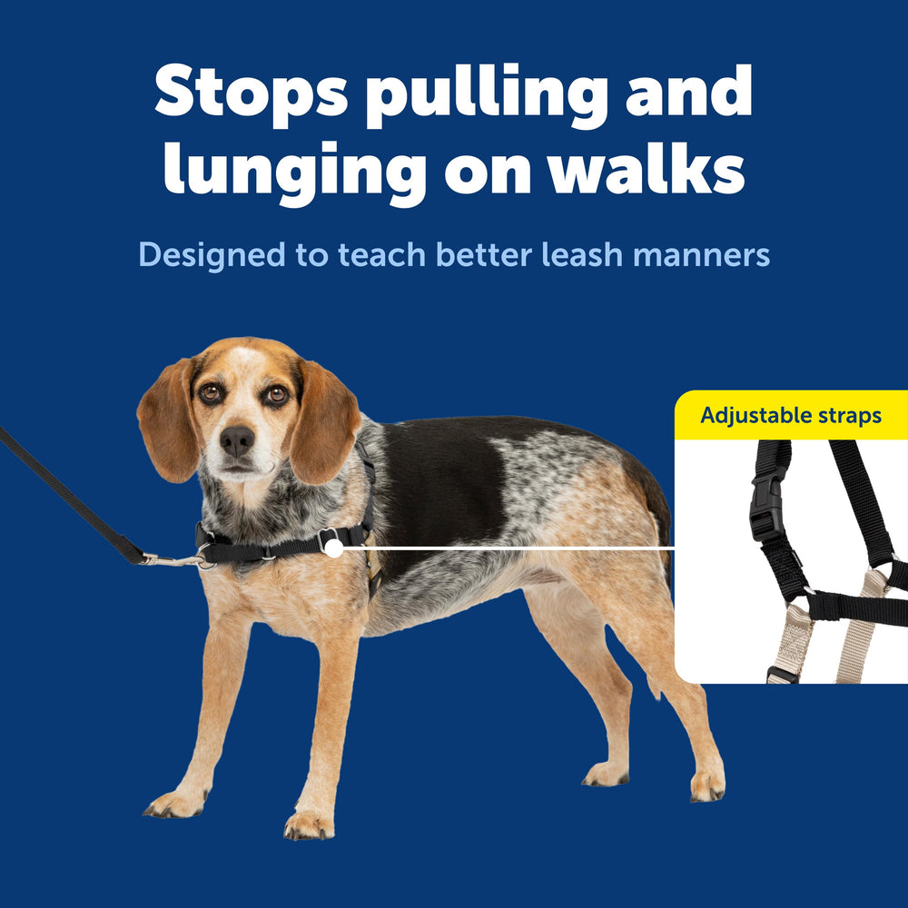 PetSafe Easy Walk martingale loop close-up for gradual pressure redirect on pulls.