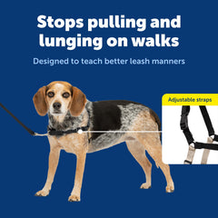 PetSafe Easy Walk martingale loop close-up for gradual pressure redirect on pulls.
