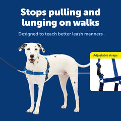 PetSafe Easy Walk Harness martingale loop demonstrates gradual pressure for redirecting pulling behavior.