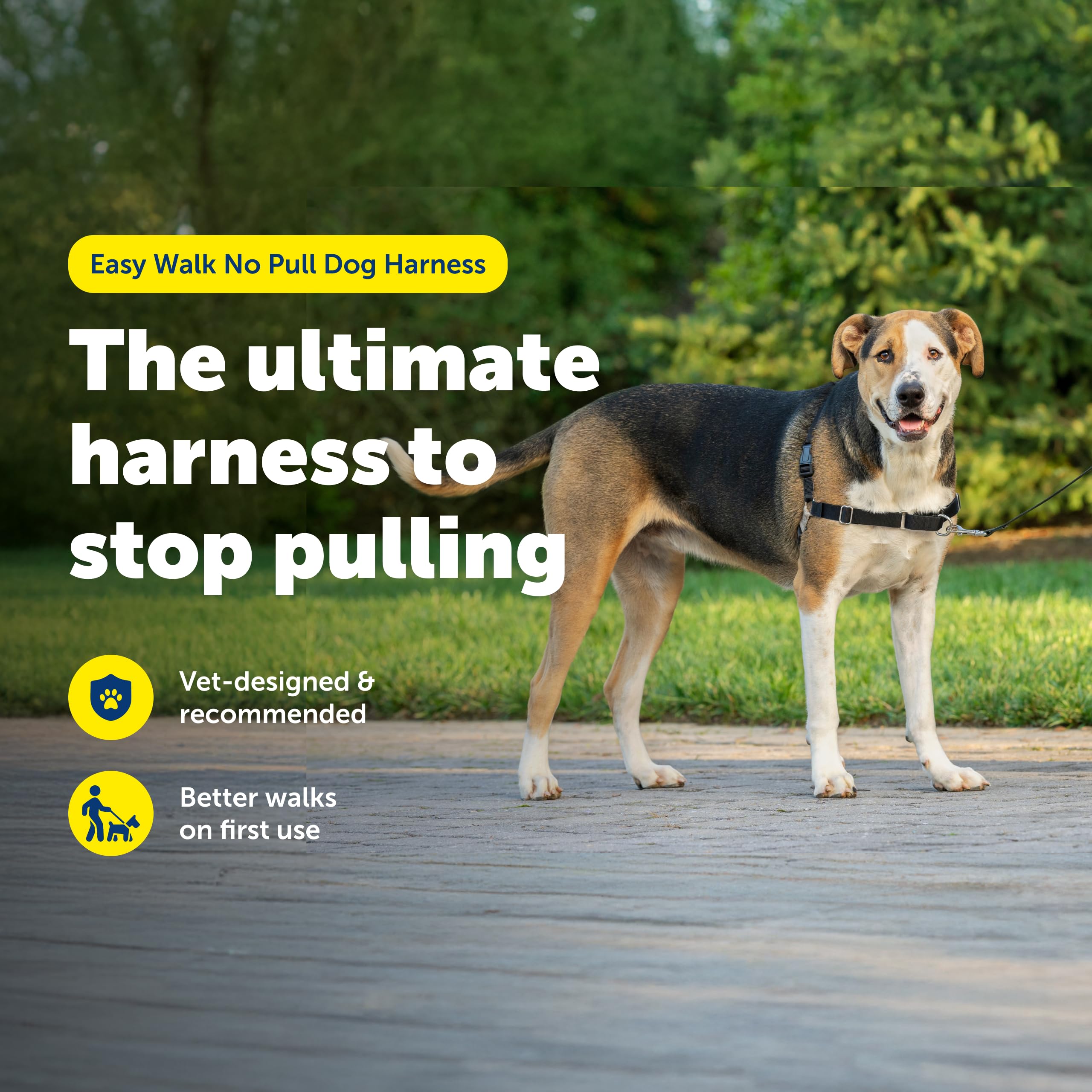 PetSafe Easy Walk with patented martingale loop redirects dog attention when pulling
