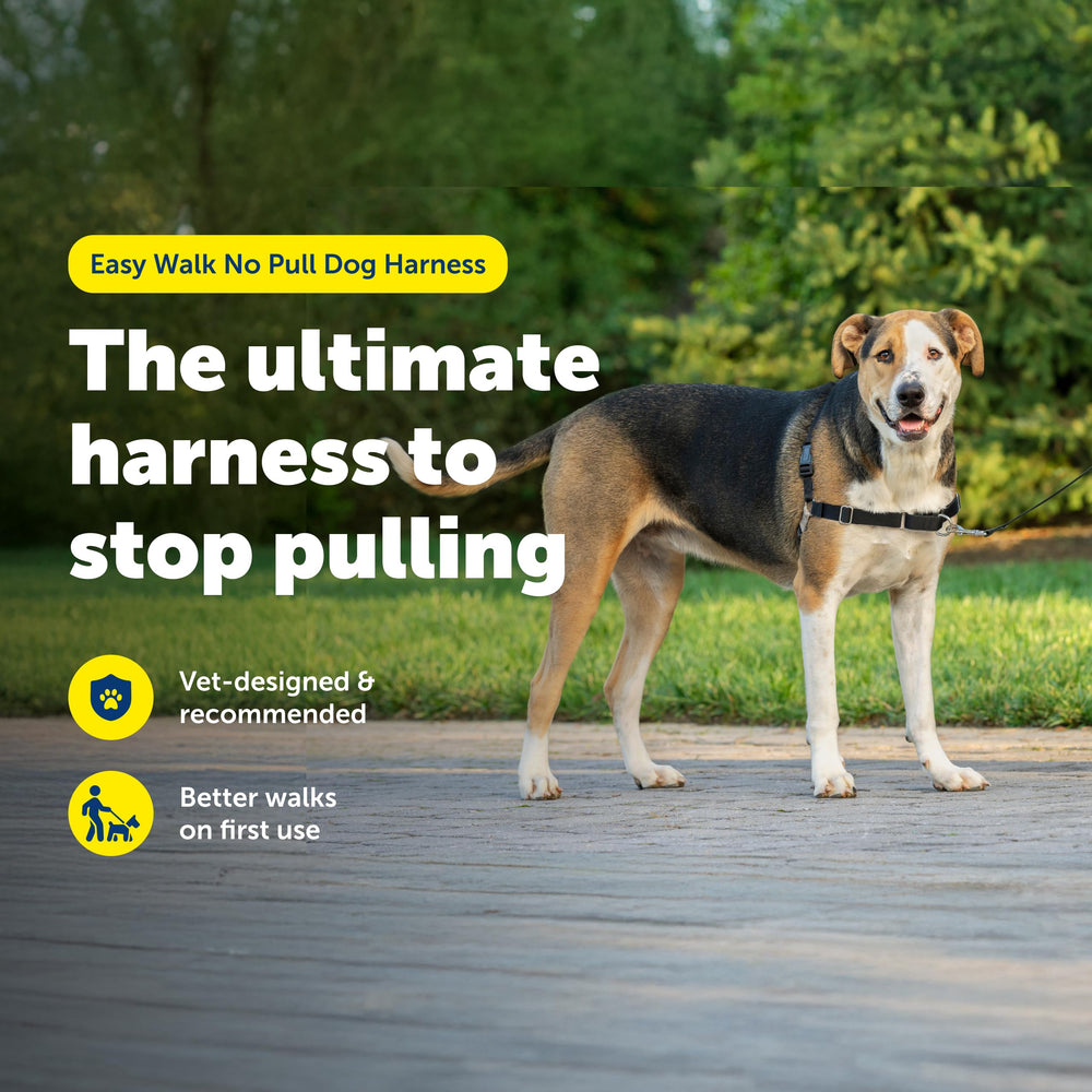 PetSafe Easy Walk with patented martingale loop redirects dog attention when pulling