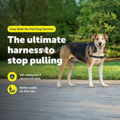 PetSafe Easy Walk with patented martingale loop redirects dog attention when pulling