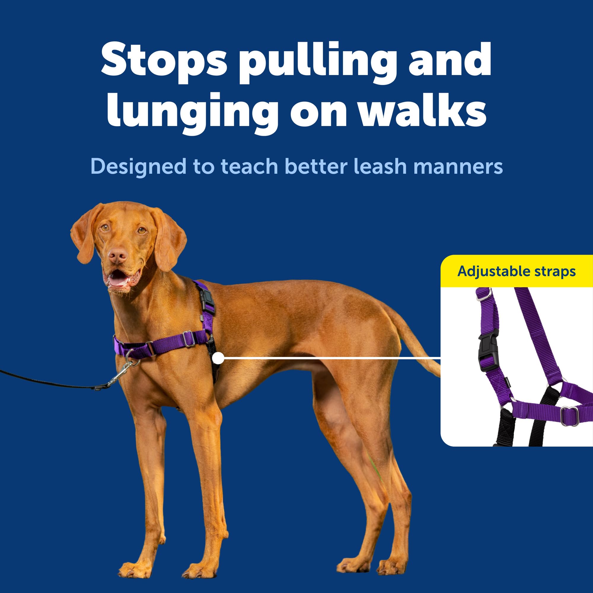 PetSafe Easy Walk purple-color harness highlights quick-fit simplicity.