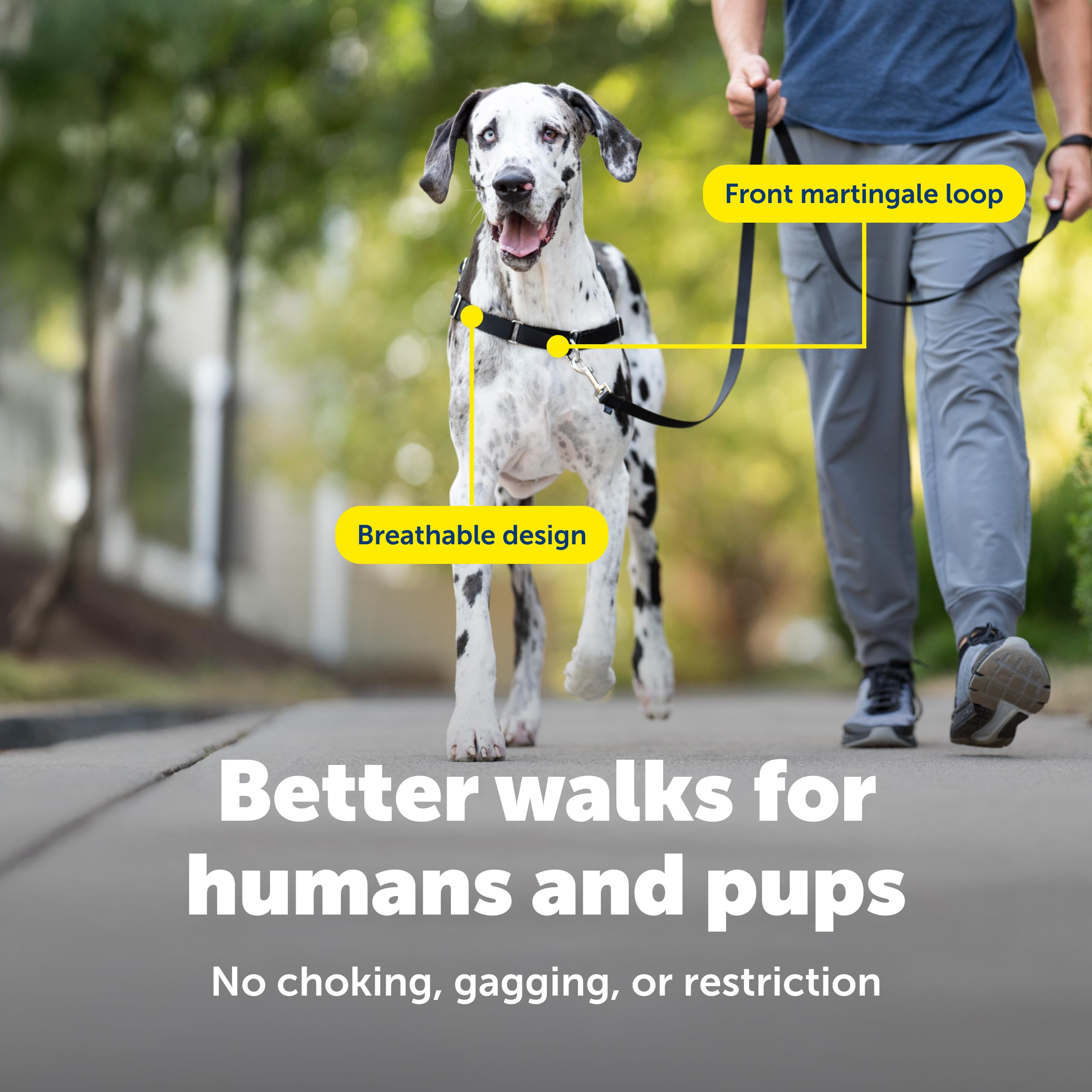 PetSafe Easy Walk quick-snap straps for easy on and off