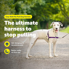 PetSafe Easy Walk shoulder loop in action showing pull reduction