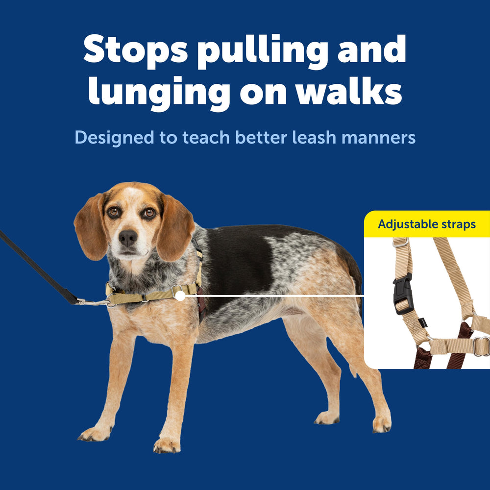 PetSafe Easy Walk chest-first design reduces choking risk on pulls