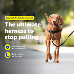 PetSafe Easy Walk martingale loop design helps reduce pulling with front leash