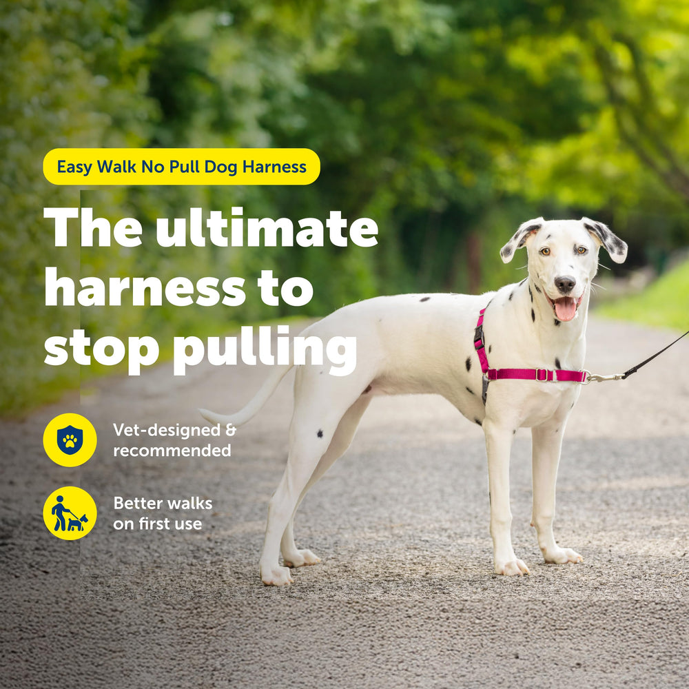PetSafe Easy Walk martingale loop guiding pulling during walks