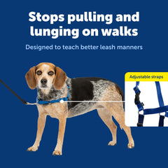 PetSafe Easy Walk patented martingale loop front view aids gentle steering.
