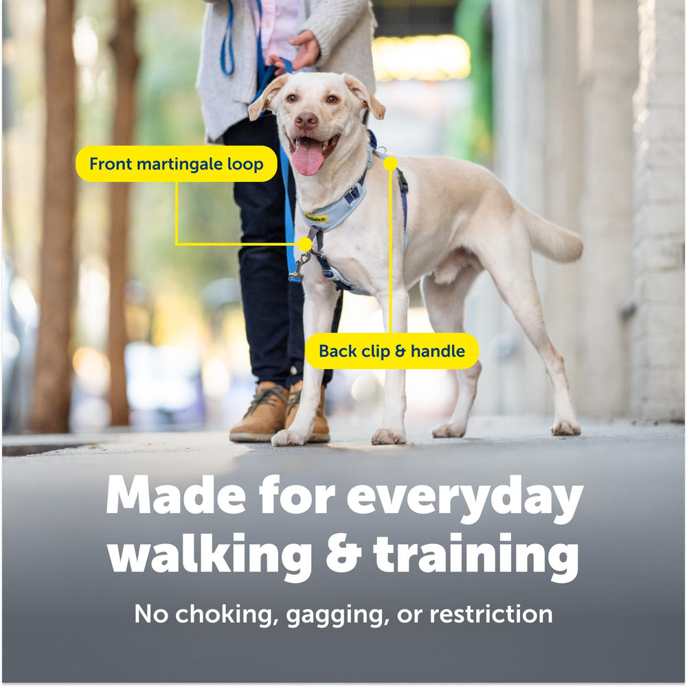 PetSafe Easy Walk top grip handle for safer guidance on rough terrain