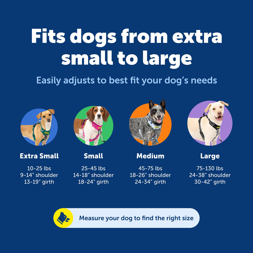 PetSafe Easy Walk top handle for extra guidance on uneven terrain