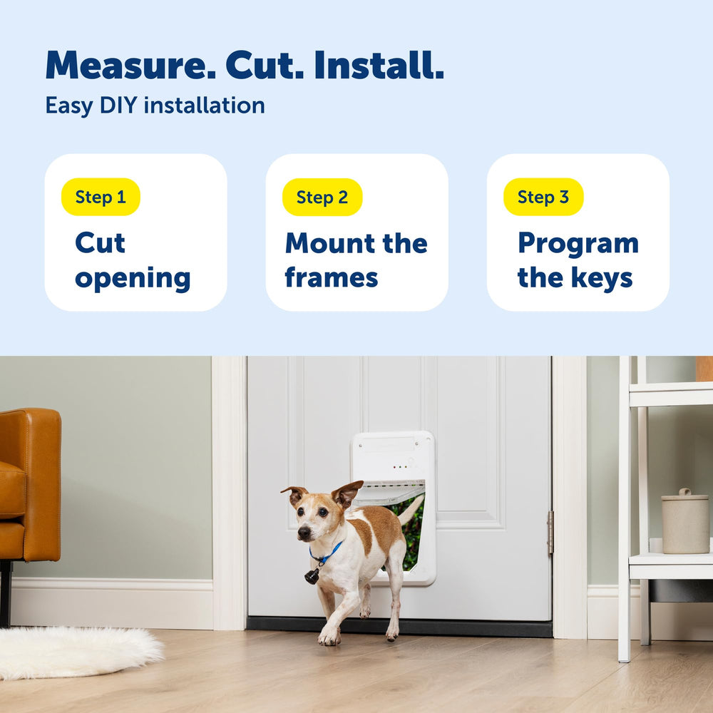 Petsafe battery powered operation uses four D cells.