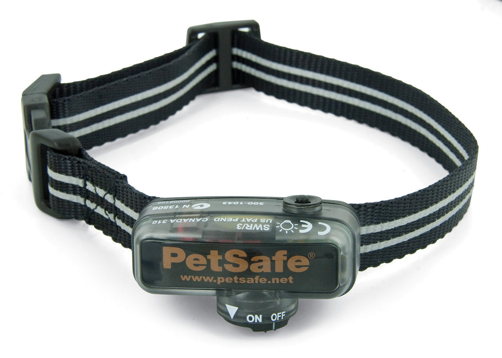 Petsafe Elite Little Dog receiver collar waterproof design for outdoor use and playtime.