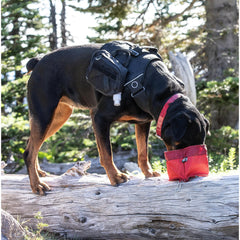 PetSafe Extreme Weather door magnetic seal ensures weather-tight closure.