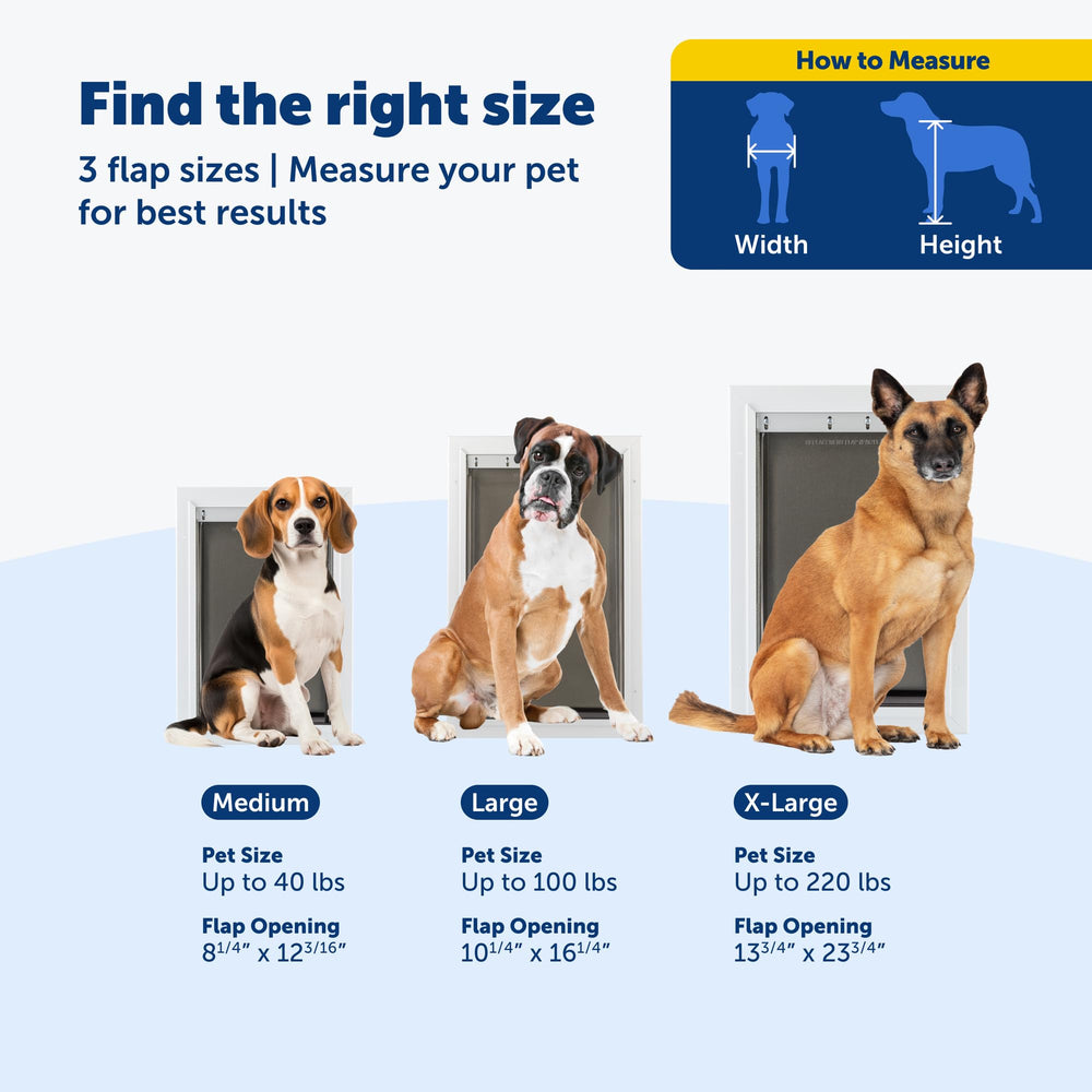 PetSafe Extreme Weather durable metal frame with reinforced corners in use