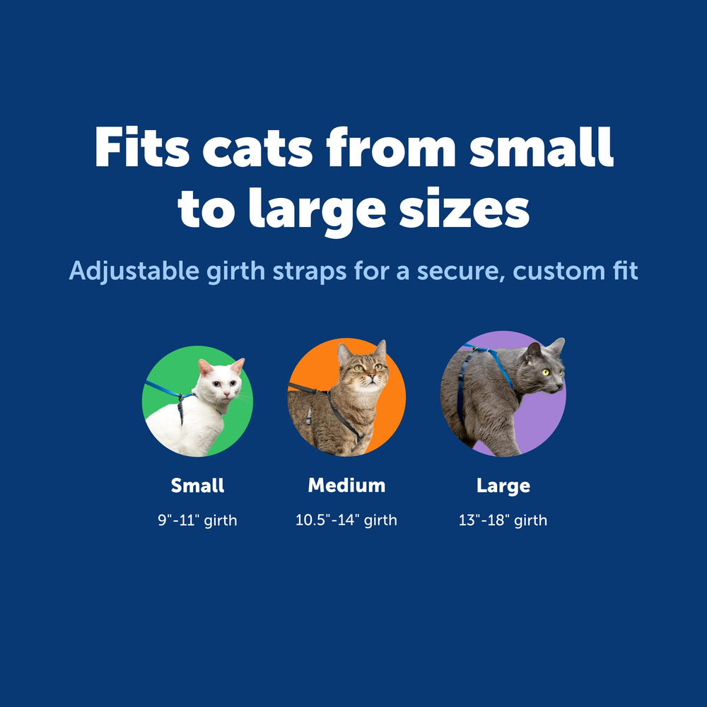 PetSafe fit guide helps tailor the harness to your cat's body