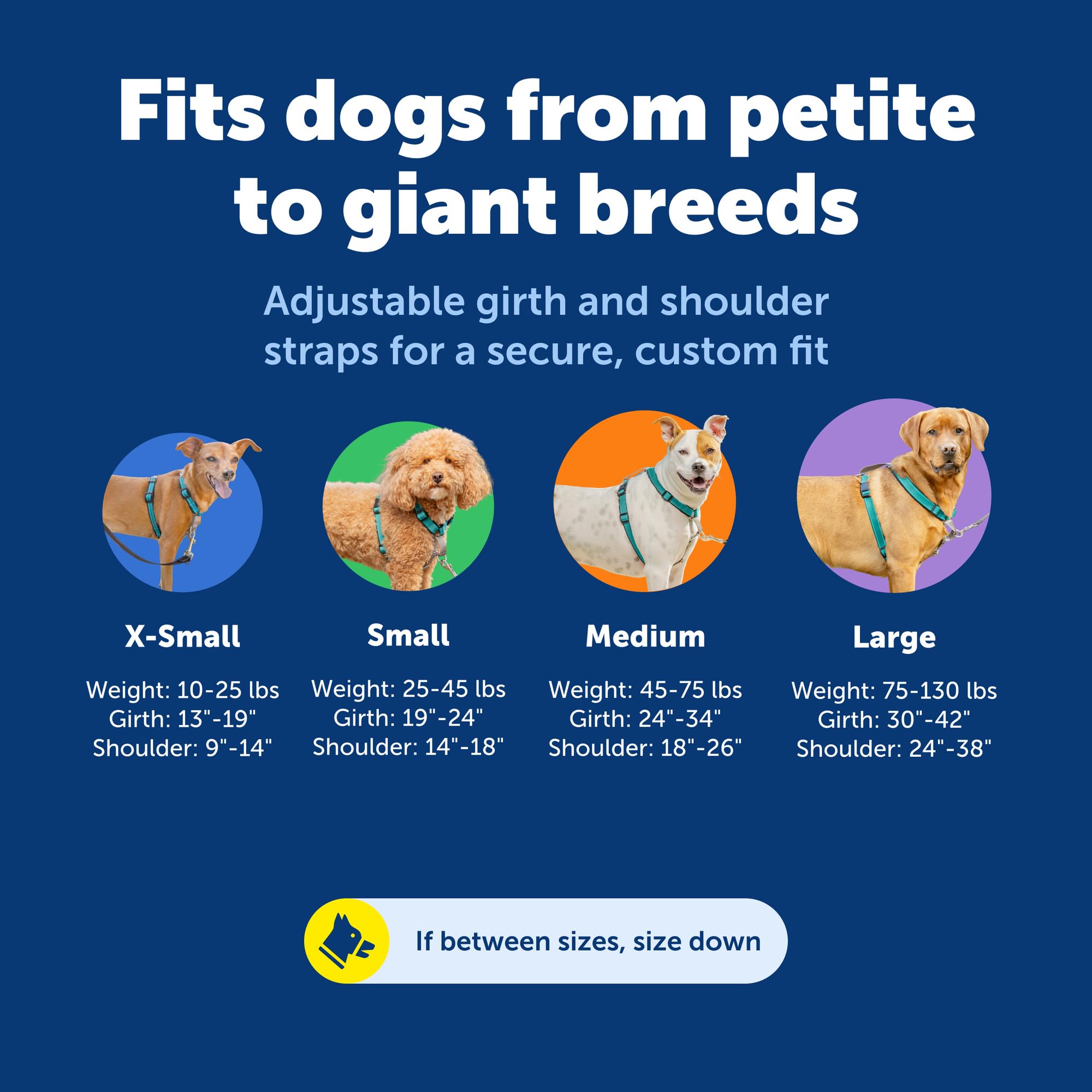 PetSafe five-point adjustable fit for a personalized small-dog harness