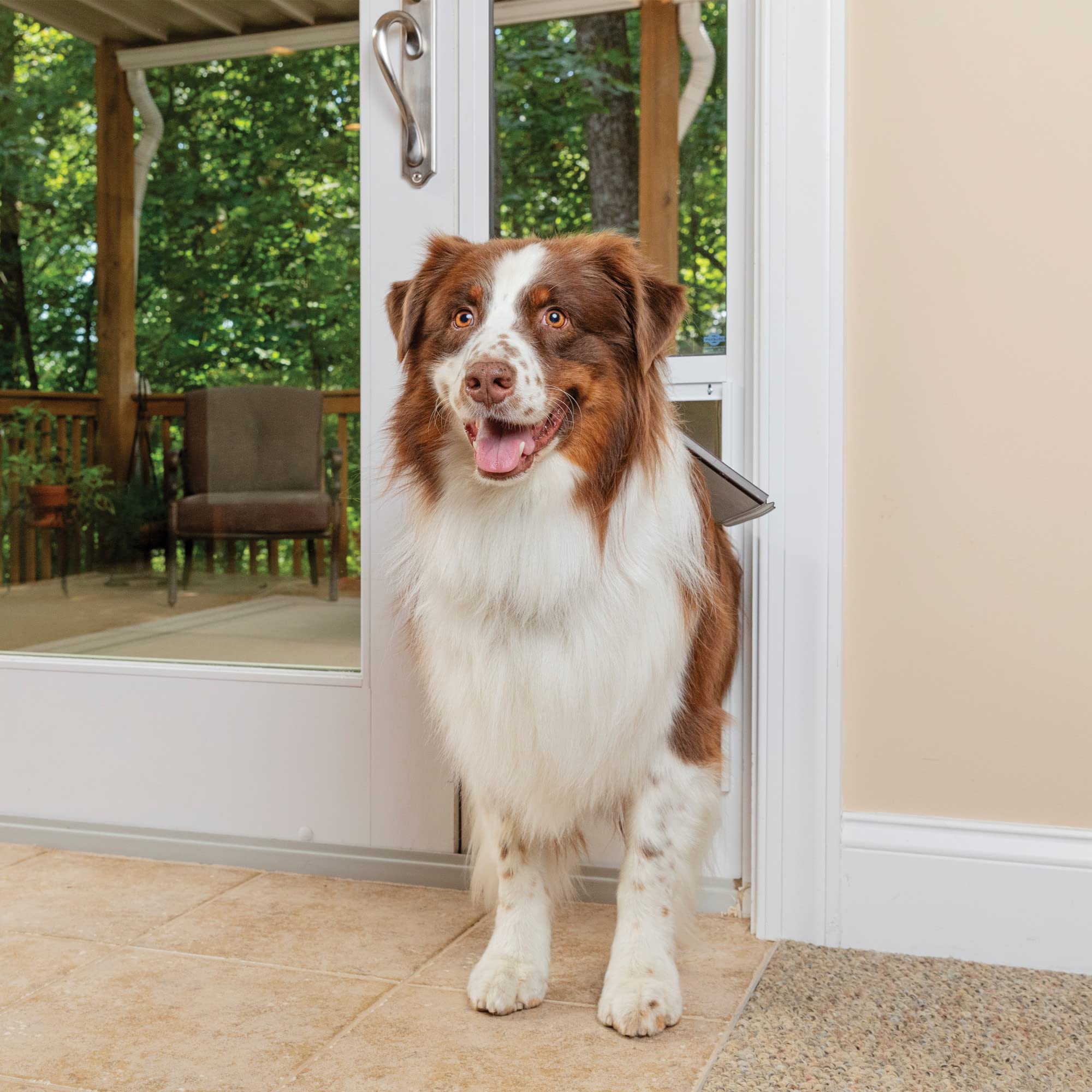 PetSafe flap with magnetic seal for weather resistant pet access