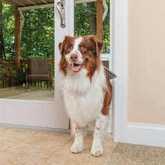 PetSafe flap with magnetic seal for weather resistant pet access