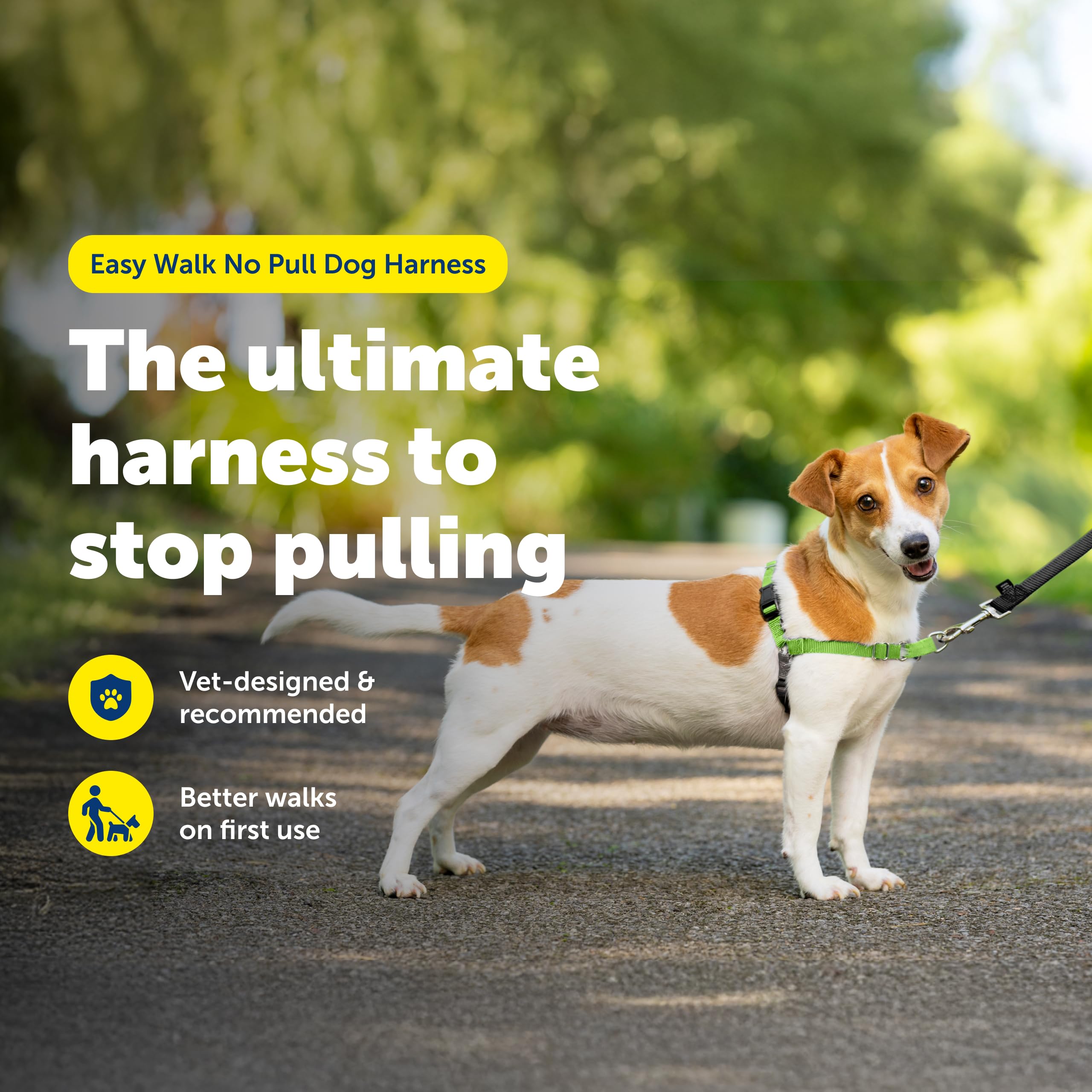 Petsafe Easy Walk front clip lets you guide your dog during walks.