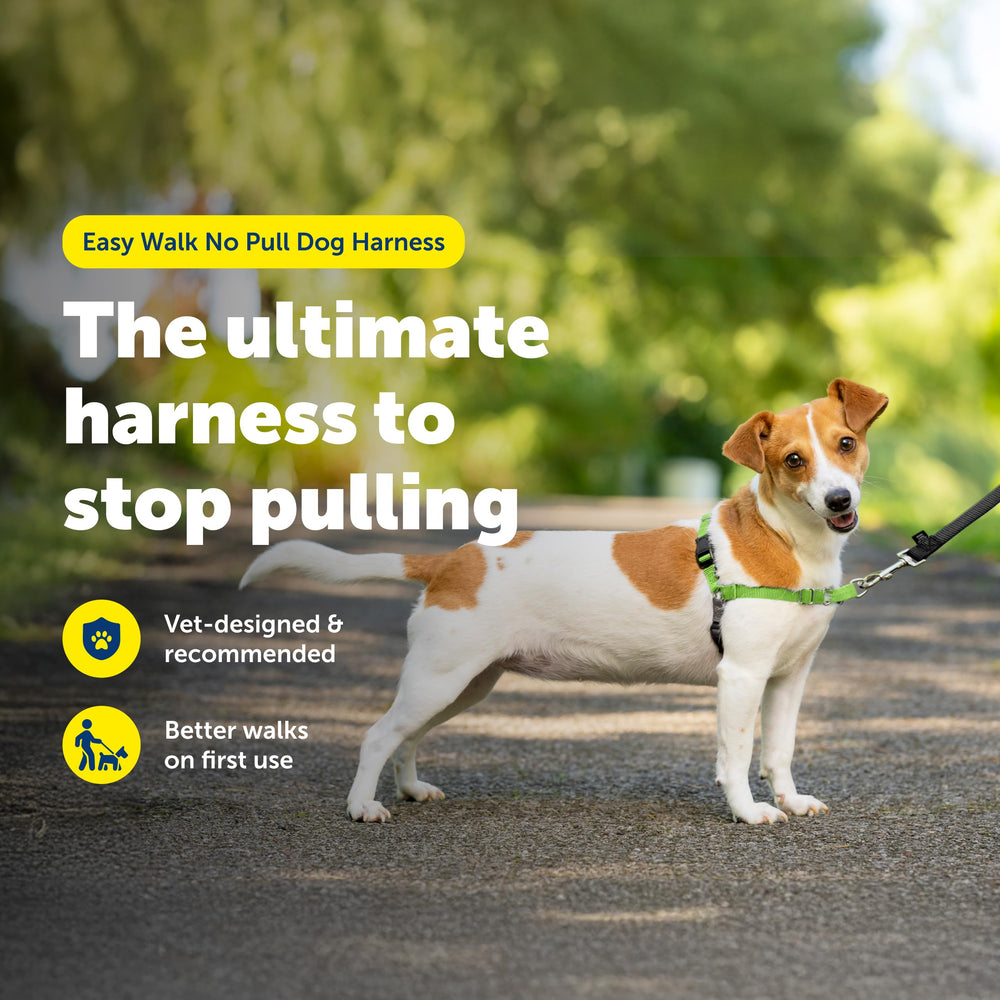 Petsafe Easy Walk front clip lets you guide your dog during walks.