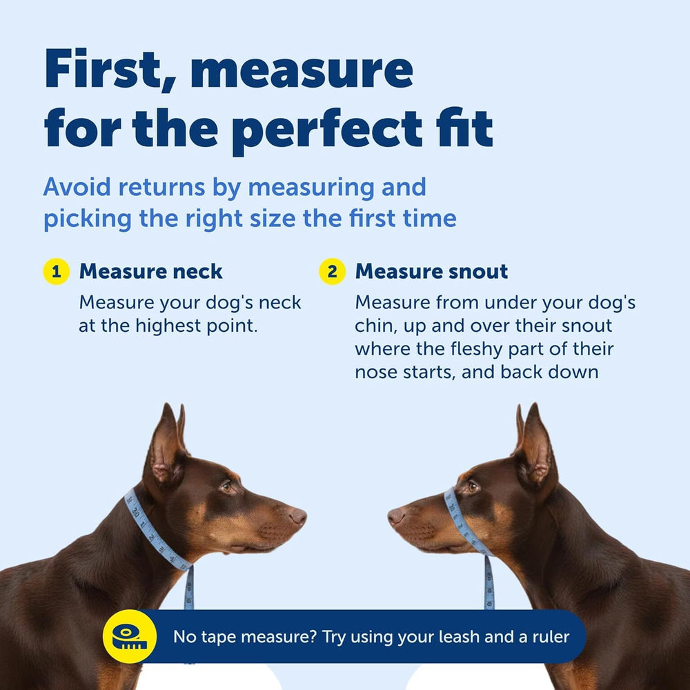 PetSafe Gentle Leader recommended as a backup control tool for busy outings.