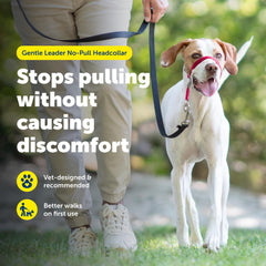 PetSafe Gentle Leader neck strap adjustment shows quick, secure fit.