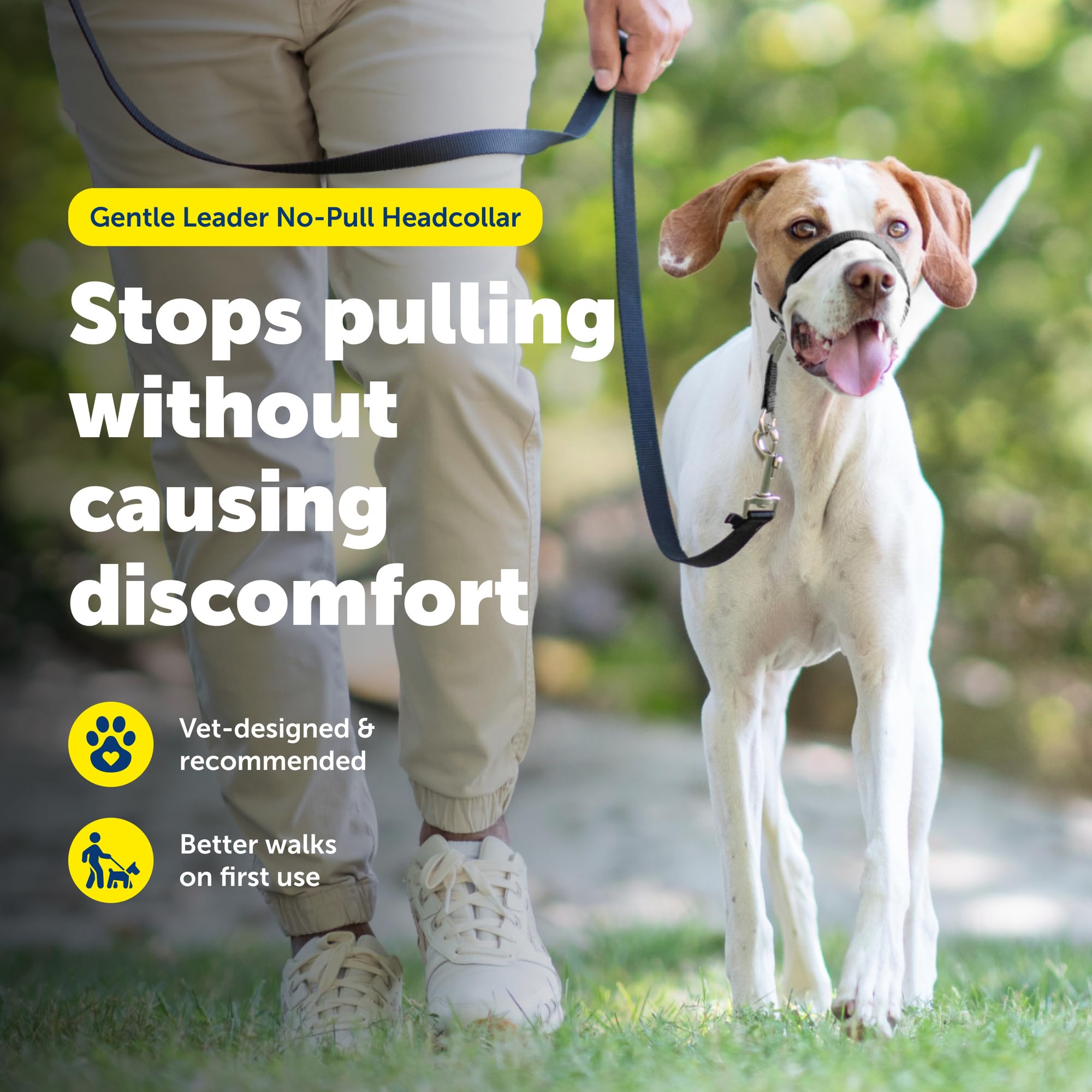 PetSafe Gentle Leader neck-strap shown for quick, comfortable fitting.