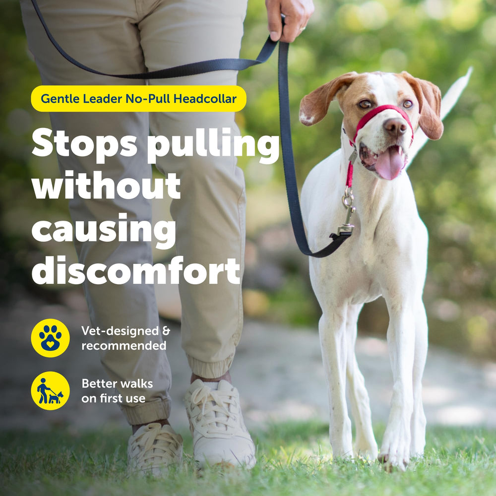 PetSafe Gentle Leader nose loop redirects pulling for better leash manners.