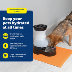 PetSafe gravity fountain dispenses fresh water into a stainless steel bowl.