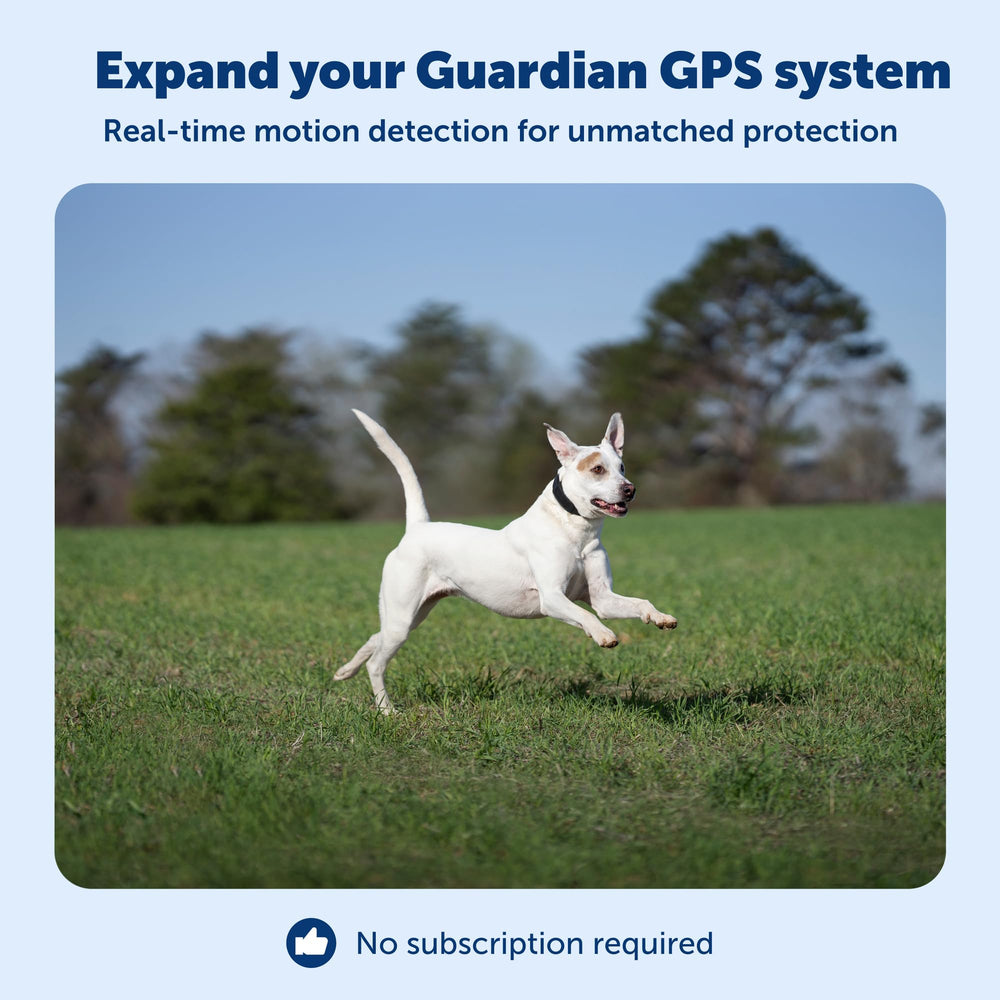PetSafe Guardian Add‑A‑Dog Collar highlighting long battery life.