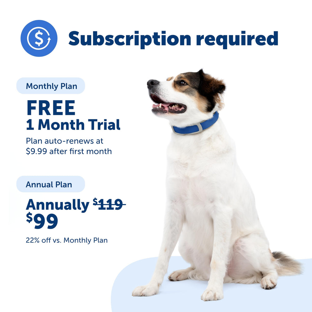 PetSafe Guardian GPS 2.0 rechargeable battery for uninterrupted tracking.