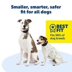 PetSafe Guardian GPS 2.0 waterproof collar ready for outdoor conditions.