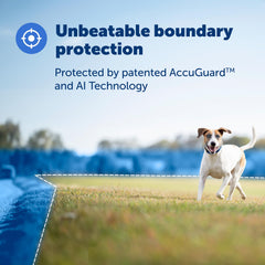 PetSafe Guardian GPS collar shown with live tracking app for quick location updates