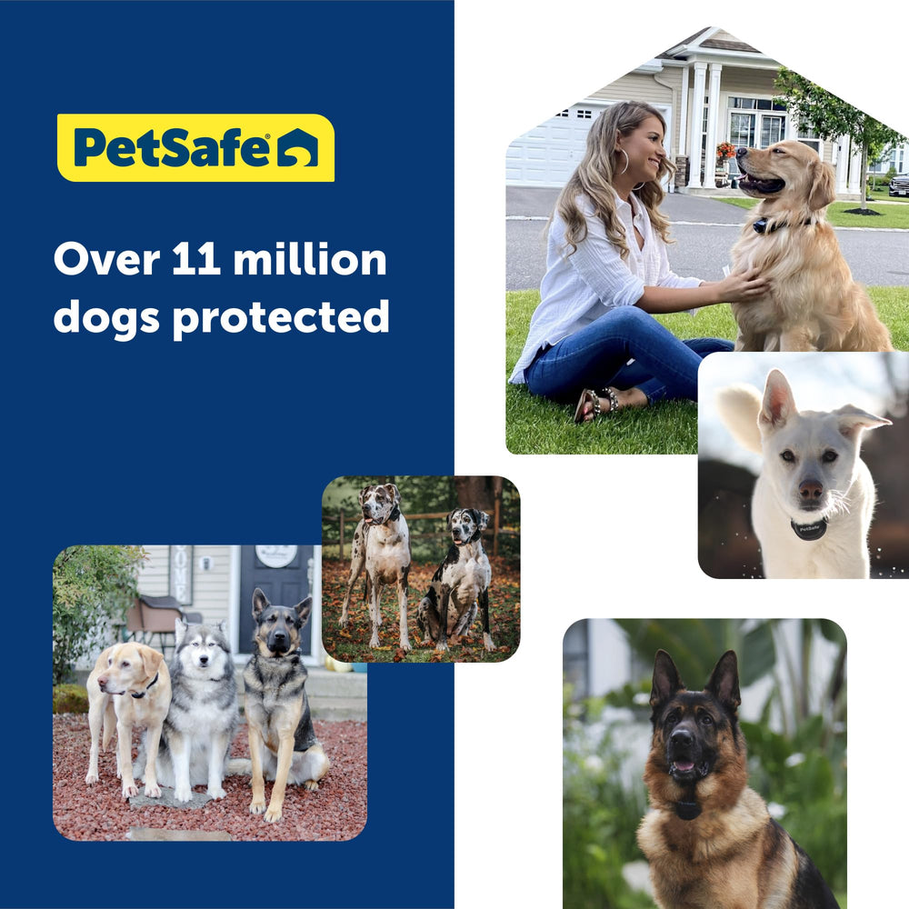 PetSafe Guardian GPS collar with training guide enabling easy setup and safe containment