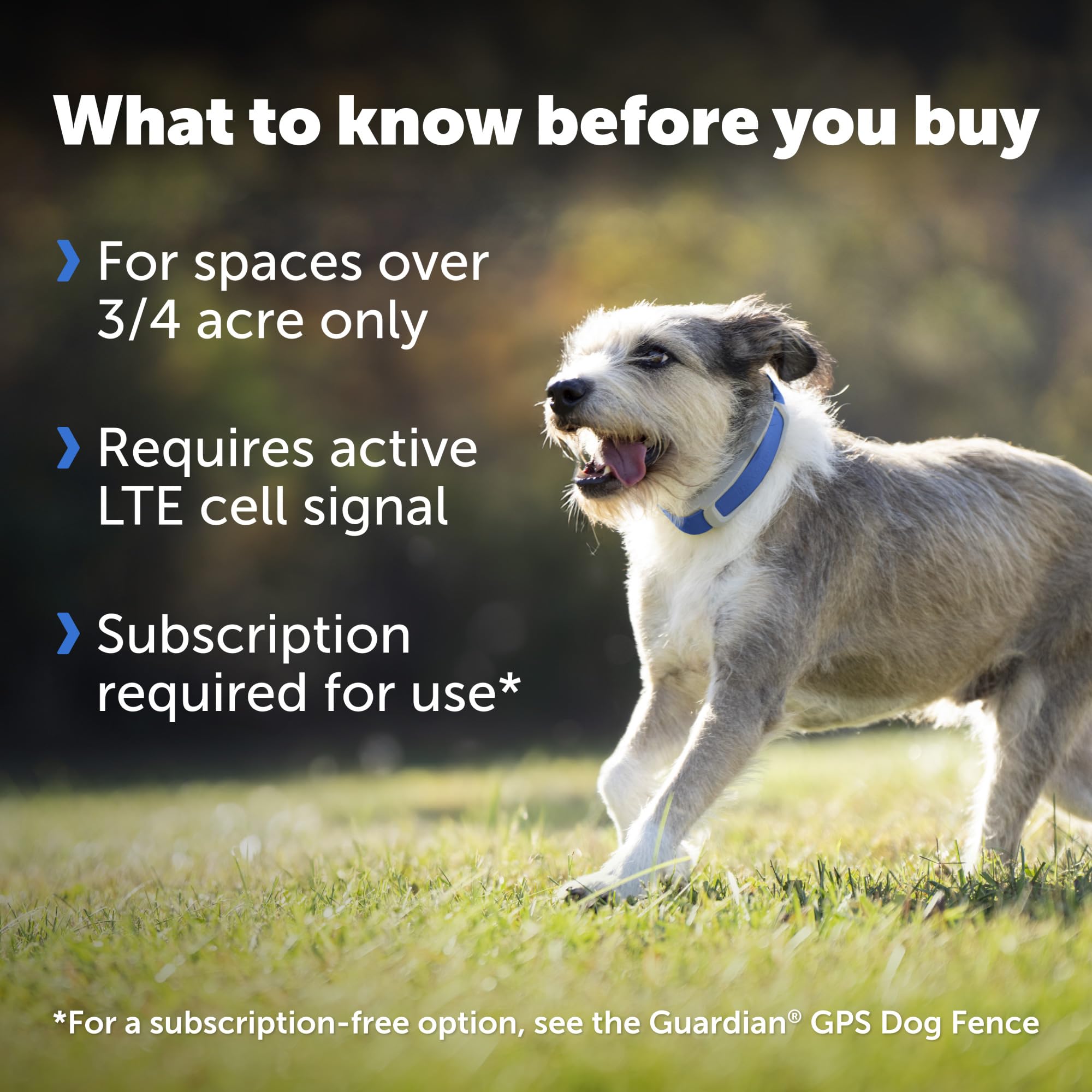 PetSafe Guardian GPS collar illustrating virtual boundaries for flexible fencing